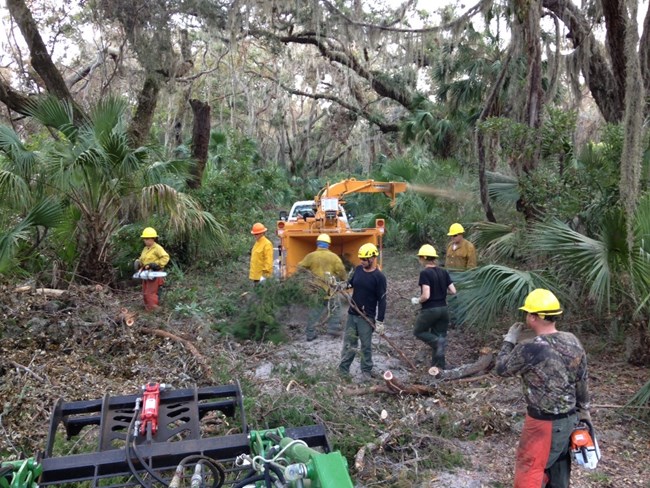 saw crewmembers with chainsaws and heavy equipment amidst fallen trees and limbs