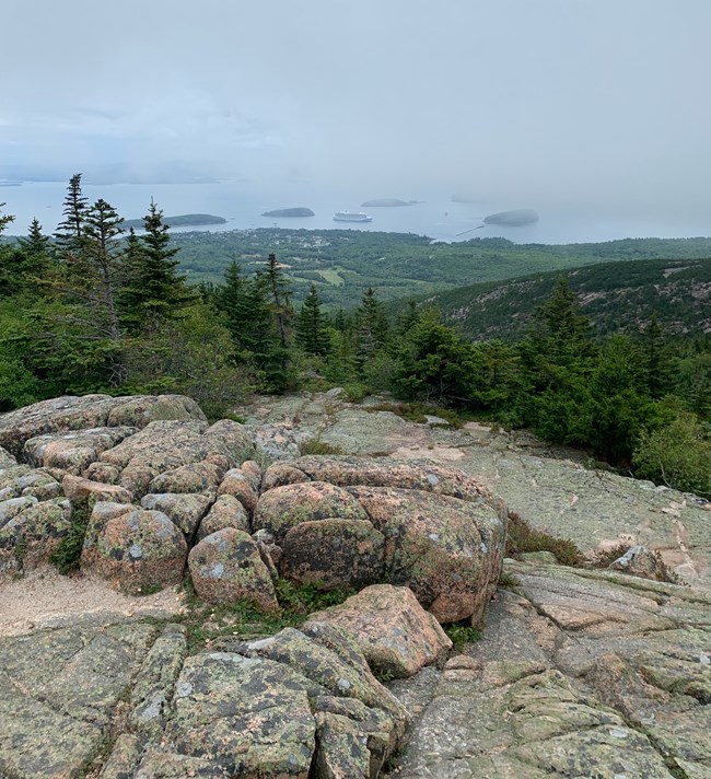 Hawk Watch site on Cadillac Mountain