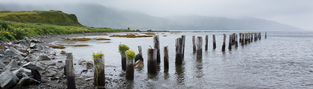 pairs of pillars stretch from the shore to the ocean with verdant hills and mountains in the background, shrouded by fog.