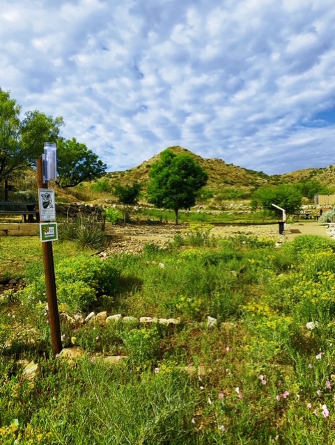 Monarch Garden 2026
