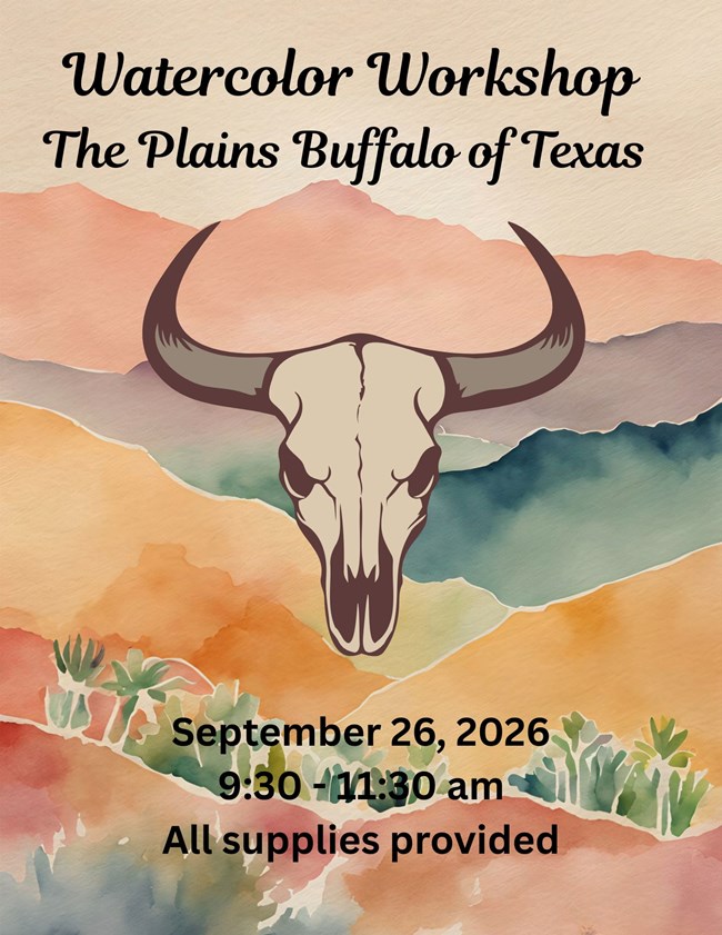 Plains Buffalo