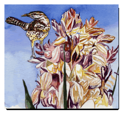 Wren by C. Todd