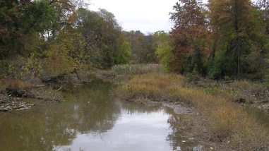 One of the tidal streams of the Anacostia River
