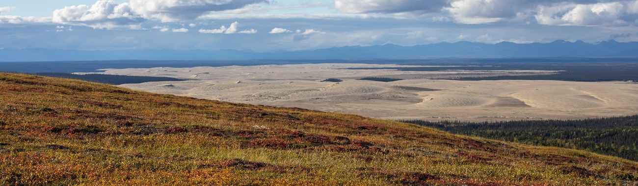 Landscape with brown tundra in foreground and sandscape background with cloudy sky.