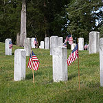 Memorial Day flags