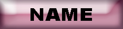 Search By Name