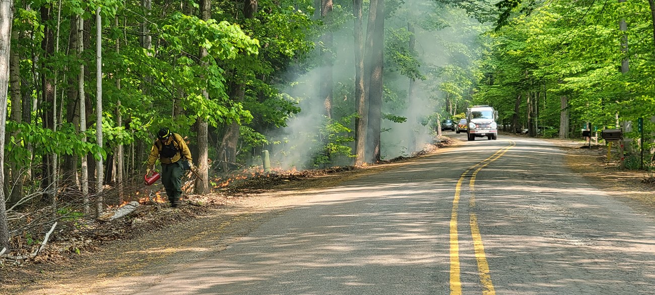 A wildland firefighter using a drip torch walks along the side of the road igniting leaves and brush on the ground with  a large white firetruck following behind.