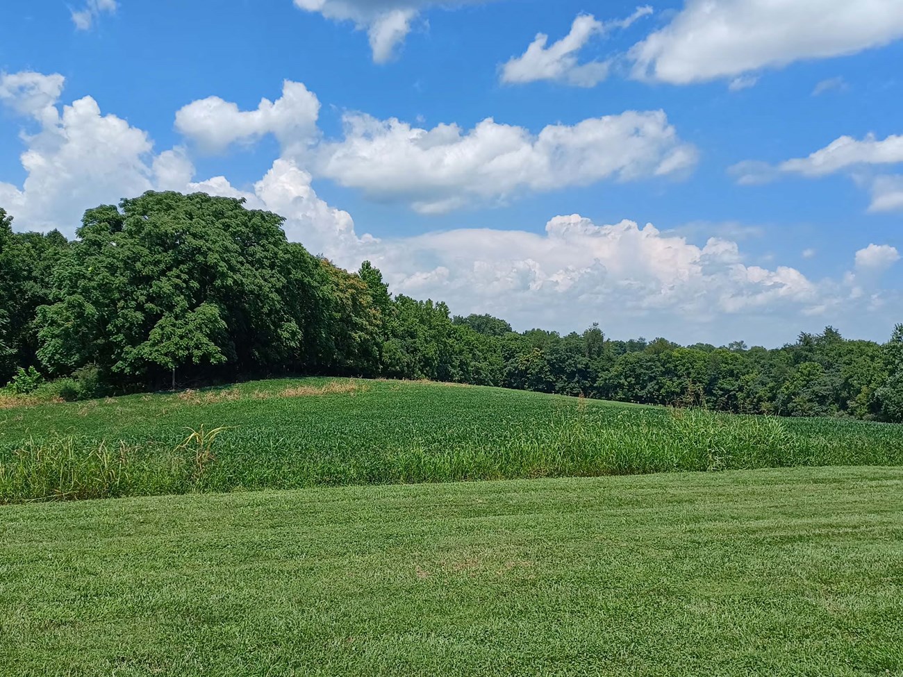Tree-lined undulating field of green grass fills the lower portion of the image as clouds dot a blue sky above.