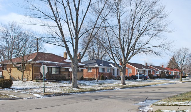 Neighborhood with ranch-style homes.