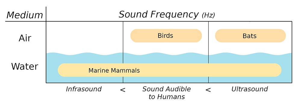 A figure showing sound frequencies in air and water and the kinds of species that make those sounds.