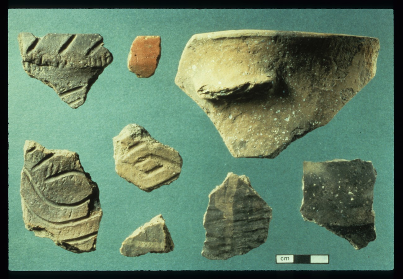 Eight pottery fragments of different shapes and patterns, arranged on a green background; they are various sizes between three and ten centimeters wide.