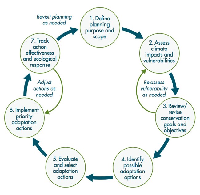 Circular flow chart depicting in a clockwise direction the steps used in the Climate-Smart Conservation cycle.
