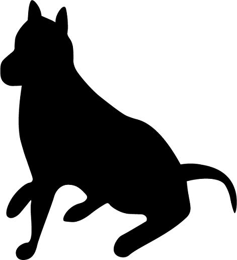 silhouette of a dog