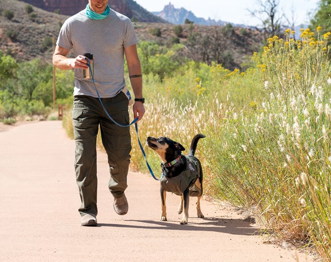 A man walking a dog on leash on a paved trail