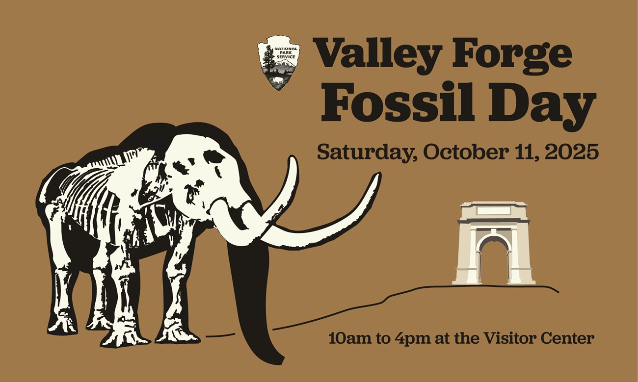 graphic of a dark mastodon silhouette with all the bones highlighted. the national memorial arch is in the distance