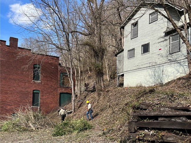 Workers examine a fuel reduction project around park historic structures