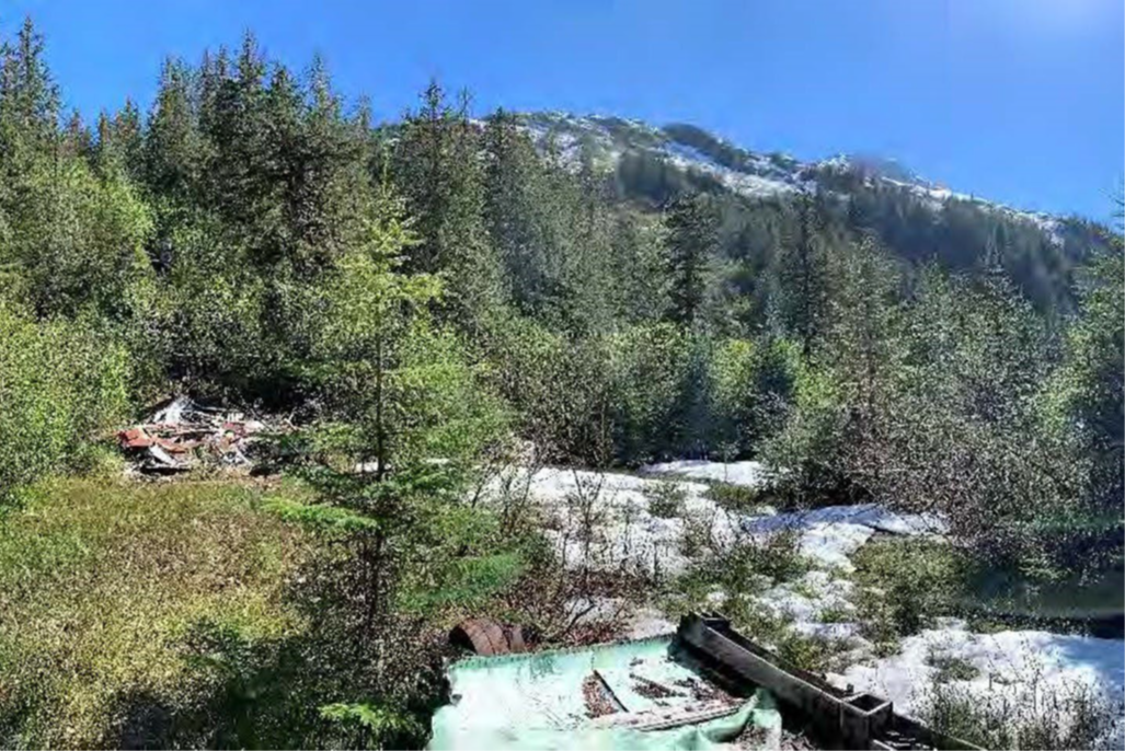 Minte debris scattered around a young forested with a large hill in the background and blue skies beyond.