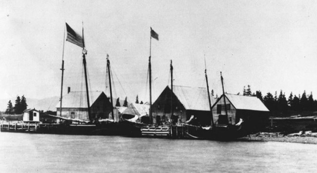 Little Cranberry Island in 1870