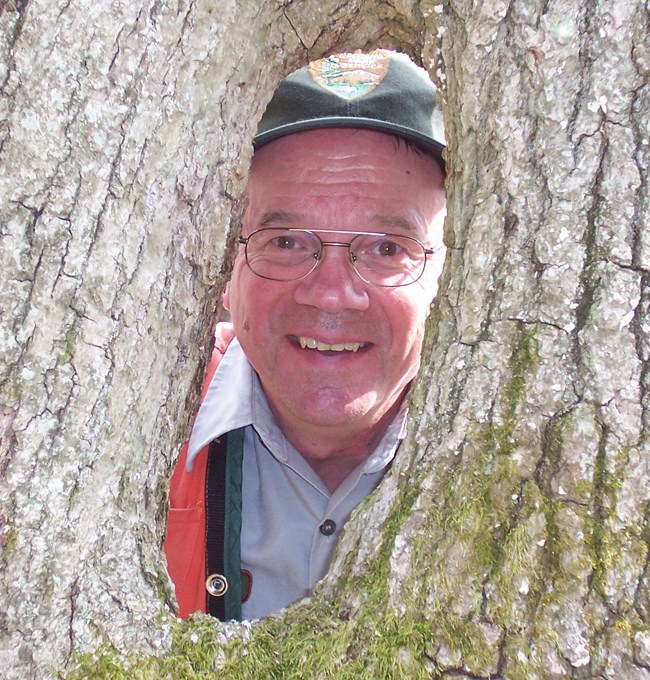 a person smiles through a hole in a moss covered tree