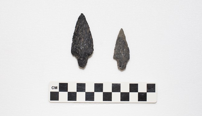 Triangular blade shaped projectile points with slightly curved edges and a rounded, tapered stem.