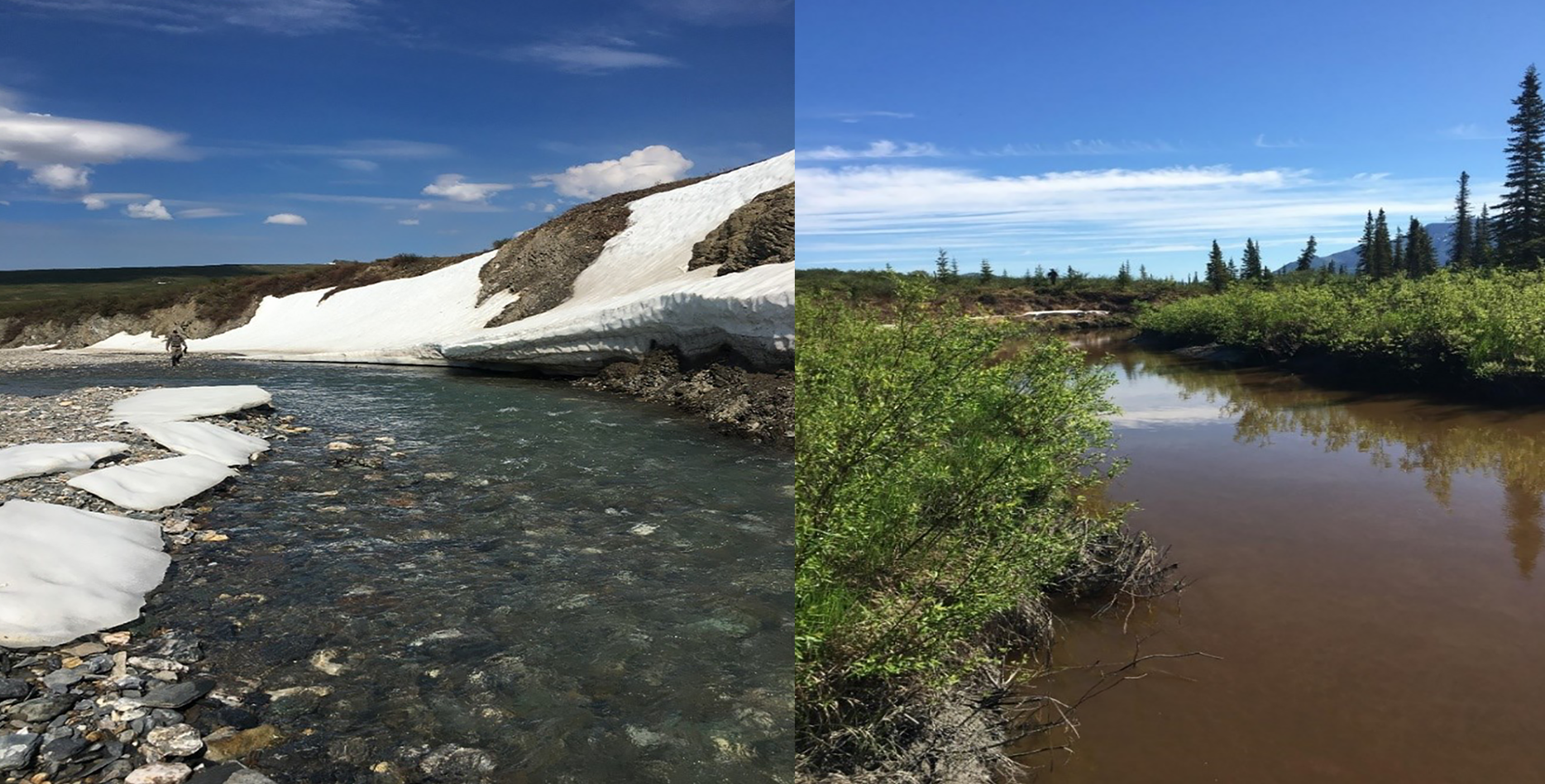 ALT Txt: a clear headwater stream in the Agashashok River with aufeis that flows over a cobble stone river bed and a scientist walks upstream. Another image shows a silty shrub lined stream in the Akillik River basin