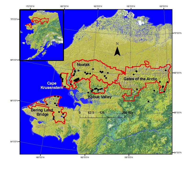 Map of stream monitoring sites across five national park units of the Arctic Network in northern Alaska.