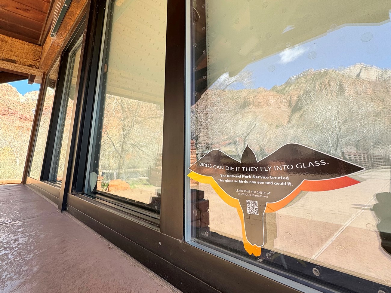 Flying bird-shaped window cling that reads "Birds can die if they fly into glass. The National Park Service treated this glass so birds can see it and avoid it. Learn what you can do at go.nps.gov/birdfriendlywindows." Dots on window are barely visible