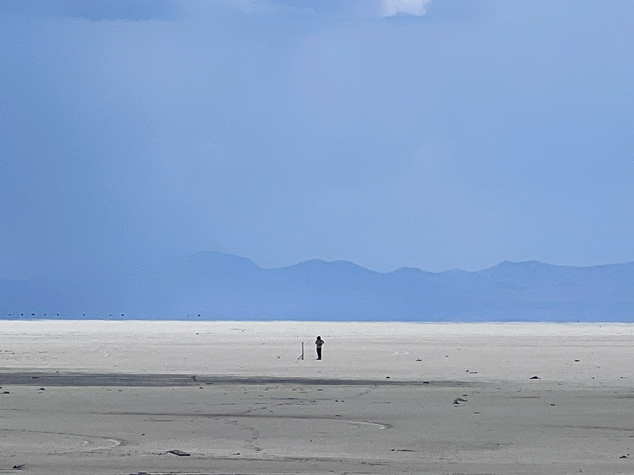 A flat, light gray to white landscape with mountains and blue skies in the backgrgound. A dark figure stands in the middle with an instrument