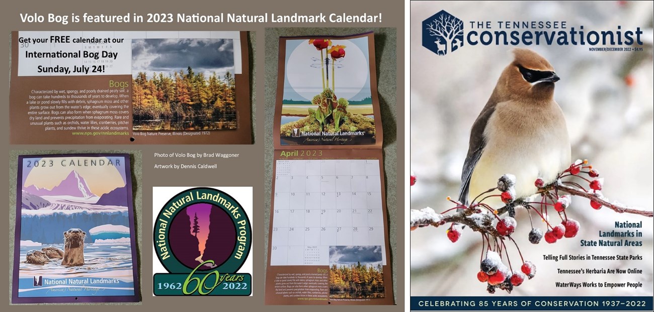 collage of magazine and calendar images