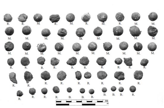 Sample of musket balls, rifle balls, and buckshot recovered in the investigations