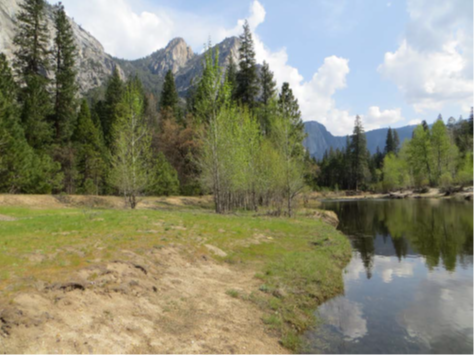 The Merced Wild and Scenic River sits in the right side of the image and its green and brown bank on the left with clouds and a blue sky reflecting in the water as pine trees and towering peaks sit in the background.