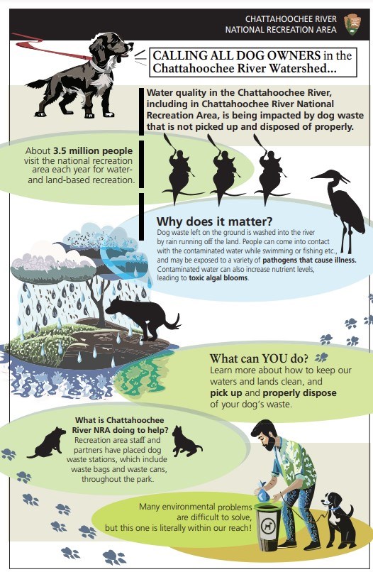 Mini version of a infographic handout about dog waste in the park.
