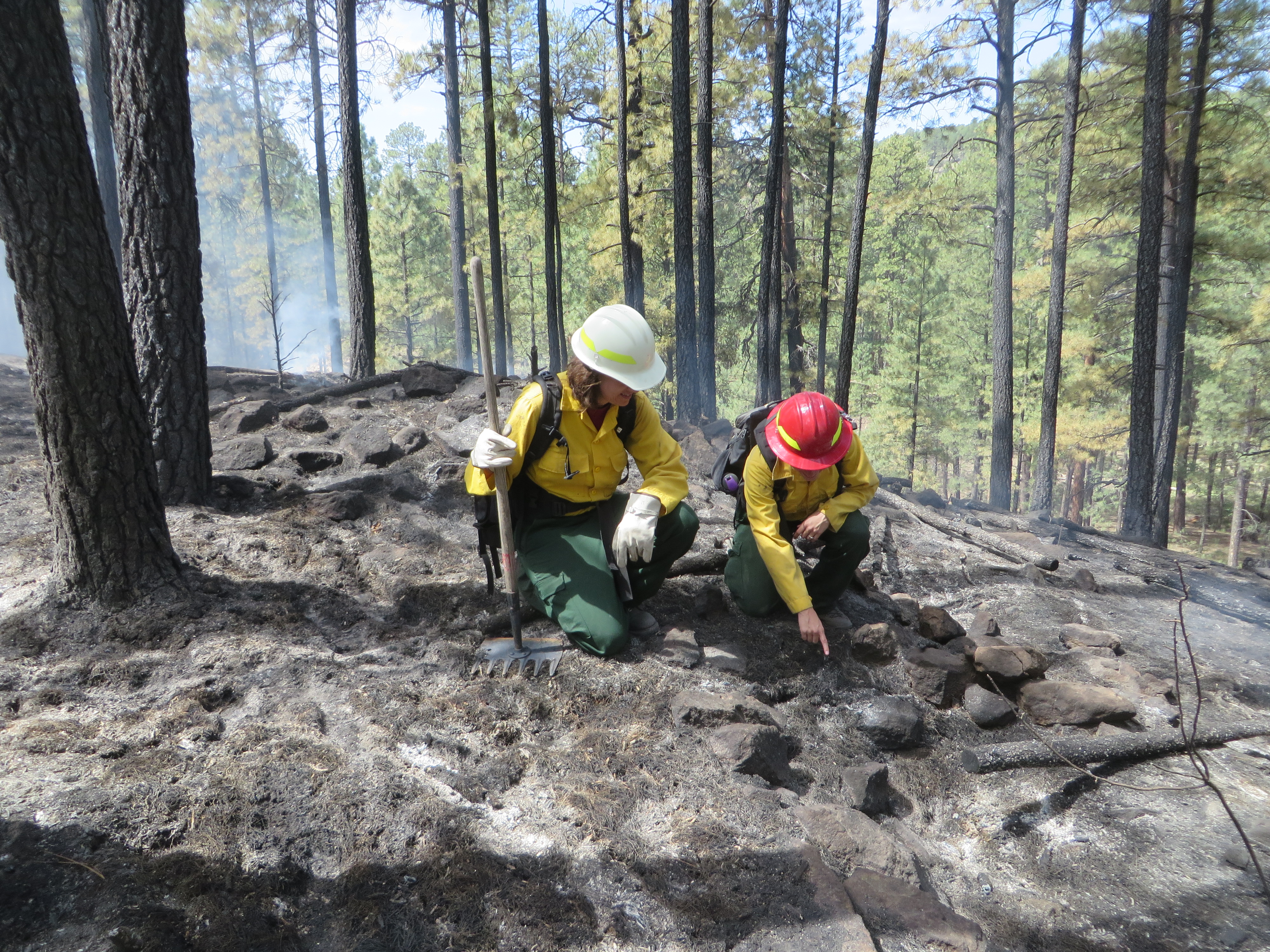 collaboration_assessing_impacts_arch_sites_NM_RLoehman_Sept.2014 (2)