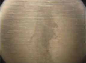 Field observations of typical blemish.