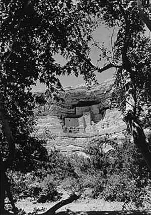 Cliff dwelling built into a limestone recess at Montezuma Castle National Monument.