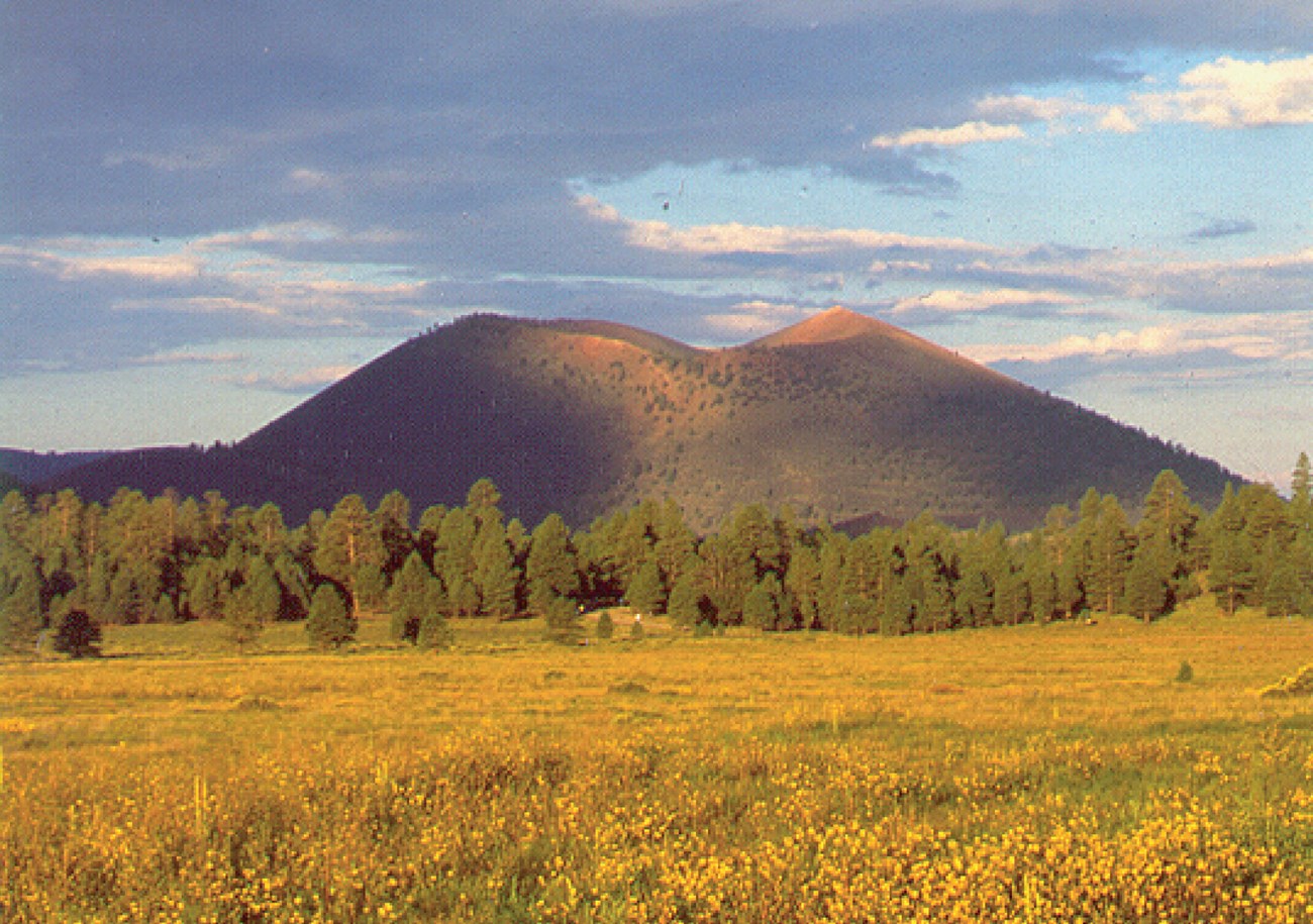 Photo of a cinder cone and prairie