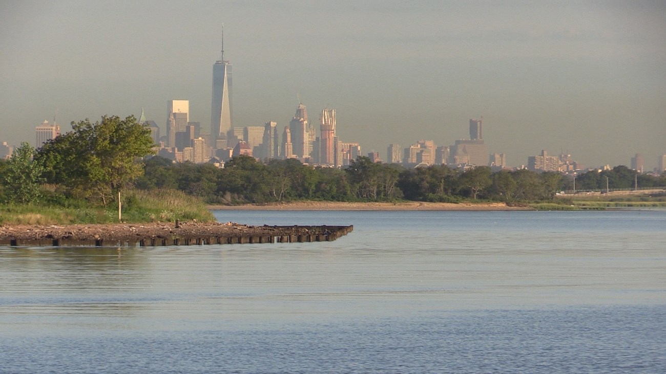 a skyline of tall buildings tower over a salt marsh vegetation and water