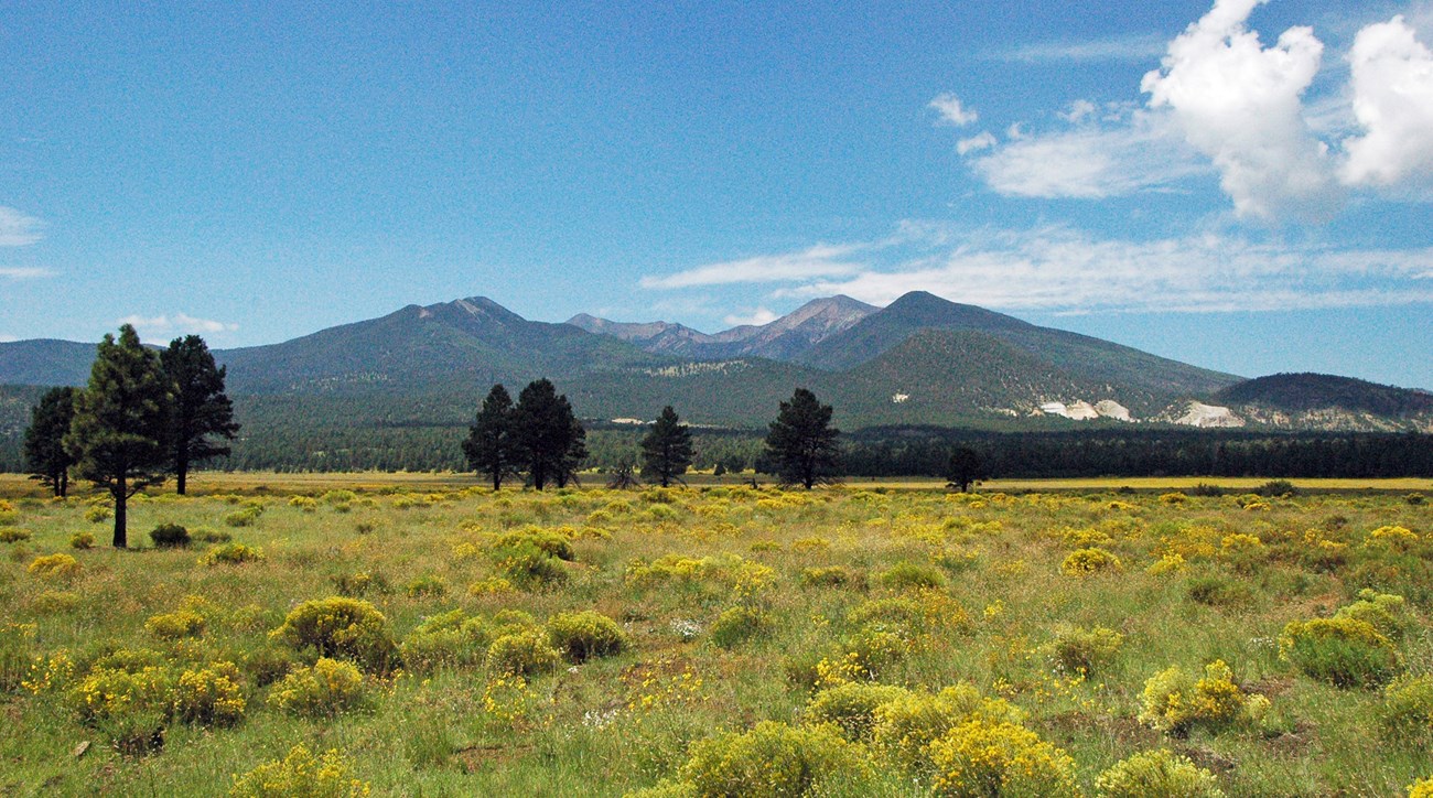 Photo of prairie with cinder cone peaks in the distance