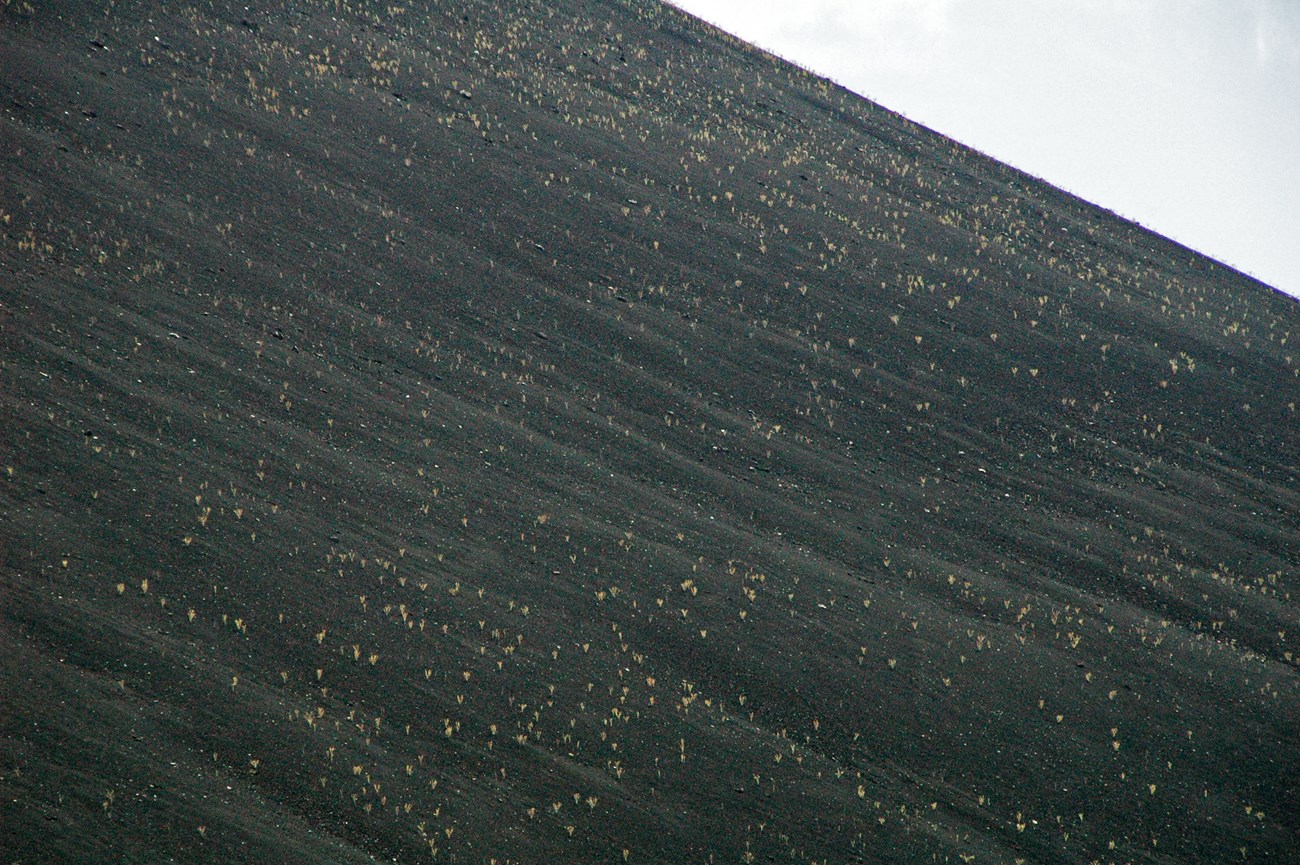 Photo of a hilslope of volcanic cinders