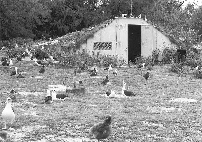 Door to a bunker surrounded by birds.