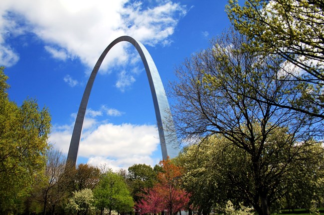 Gateway Arch with fall colors