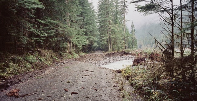 Washed out section of Carbon River Road after 2006 flood.