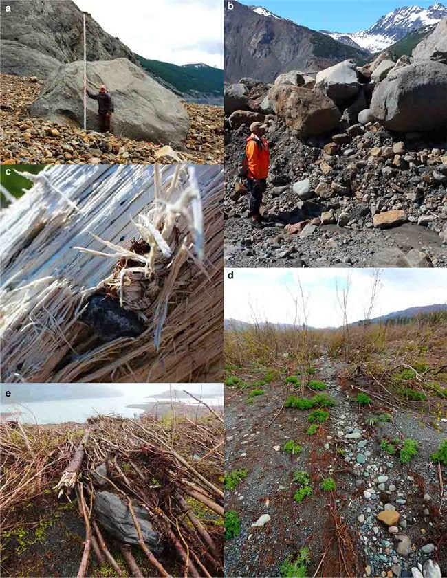 a collage of images showing various impacts of the landslide