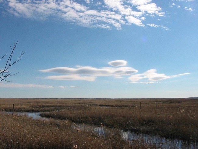River running through a marsh