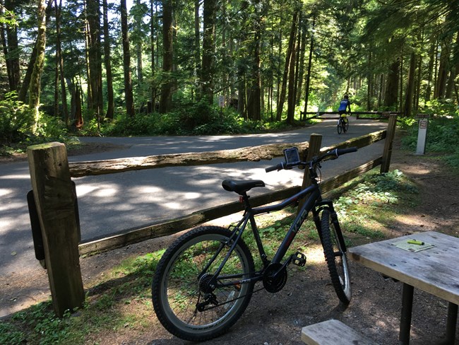 Mountain bicycle leaning against fence at Carbon River entrance.
