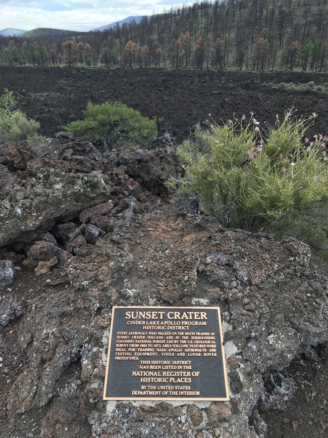 Photo of a brass plaque on rock with volcanic field in the background