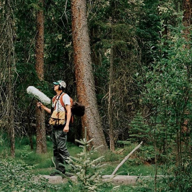 Profile, summer view of Jacob Job standing in dense forest holding a microphone with wind muff.