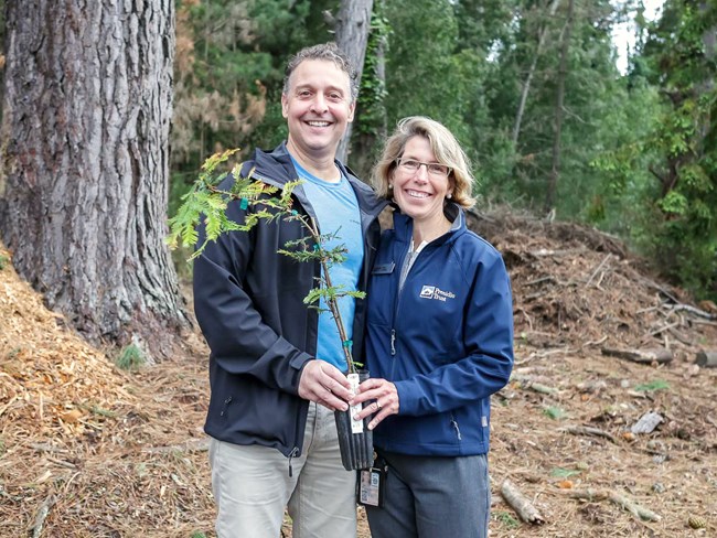 Two people standing side by side holding a redwood sapling still in its container