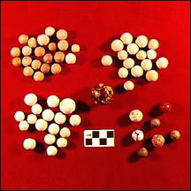 Marbles, from Rock Creek Park.