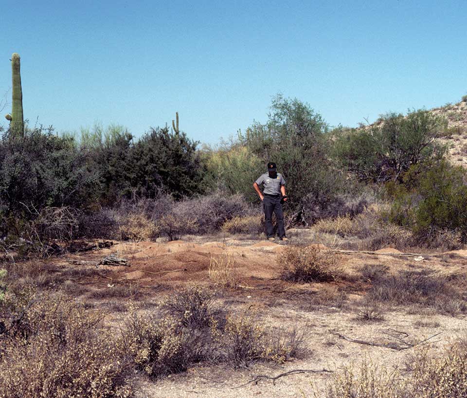 A ranger stands above the Atta mexicana colony